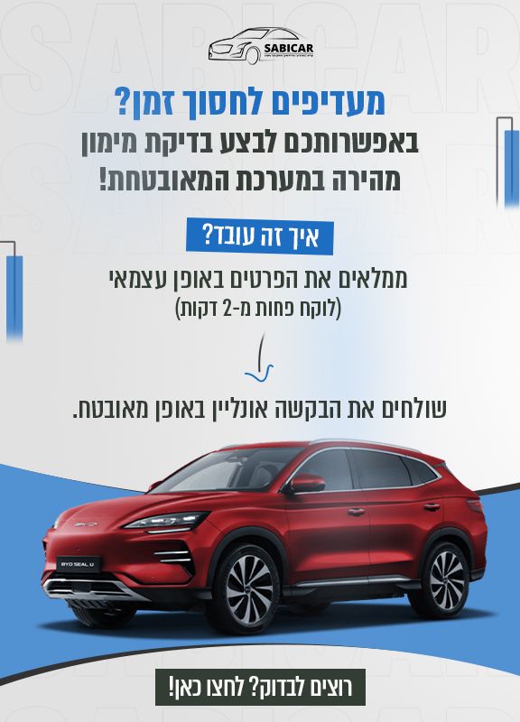 בדיקת מימון
